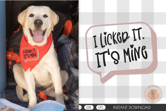 I Licked It Dog Bandana SVG Quote Design Review