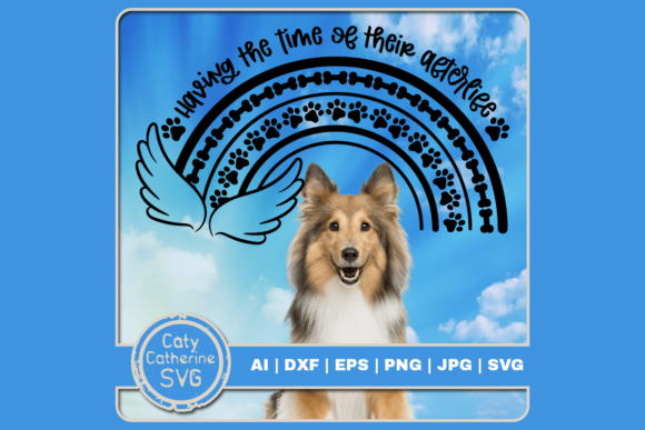 Time of Their AfterLife Dog Remembrance Review